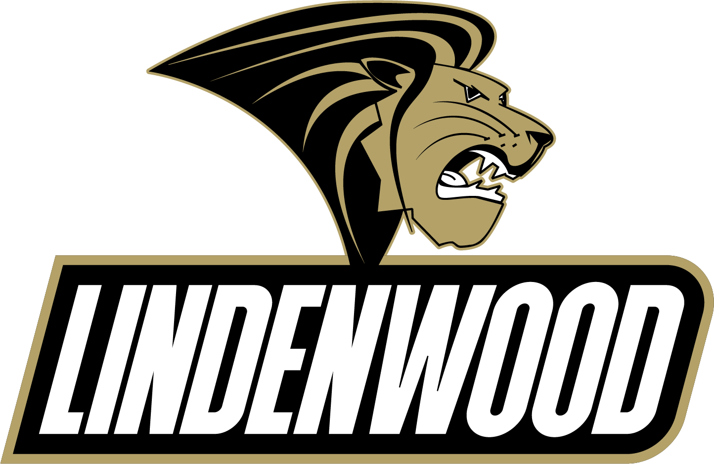 Lindenwood University